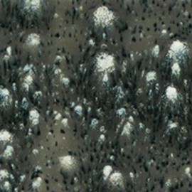 Cosmic Black - 16 oz Mayco Crystal Glaze